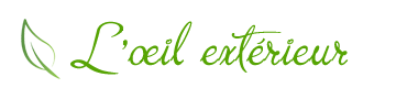 logo-l-oeil-exterieur